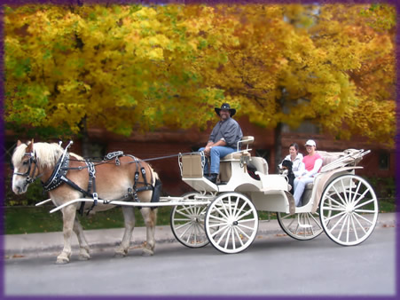 451x338 Aspen Carriage And Sleigh The Rocky Mountain's Premier Horse Drawn