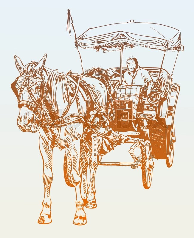 651x800 Sketch Drawing Of Horse Driver, Vector Illustration Stock Vector