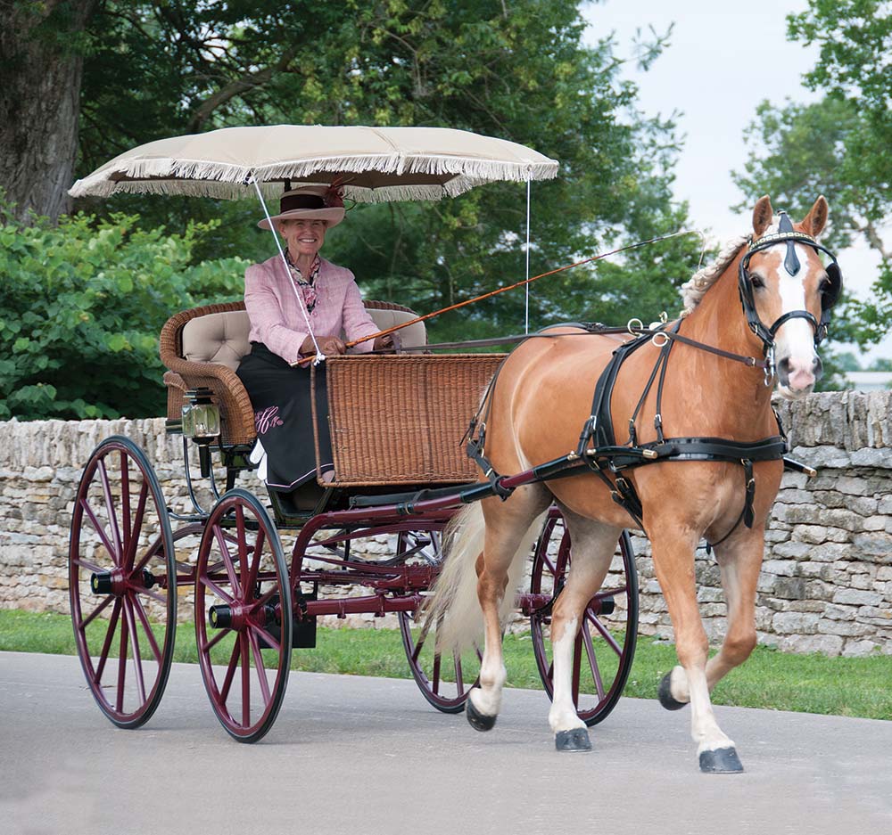 1000x937 The Caa's Brewster Drawing Project