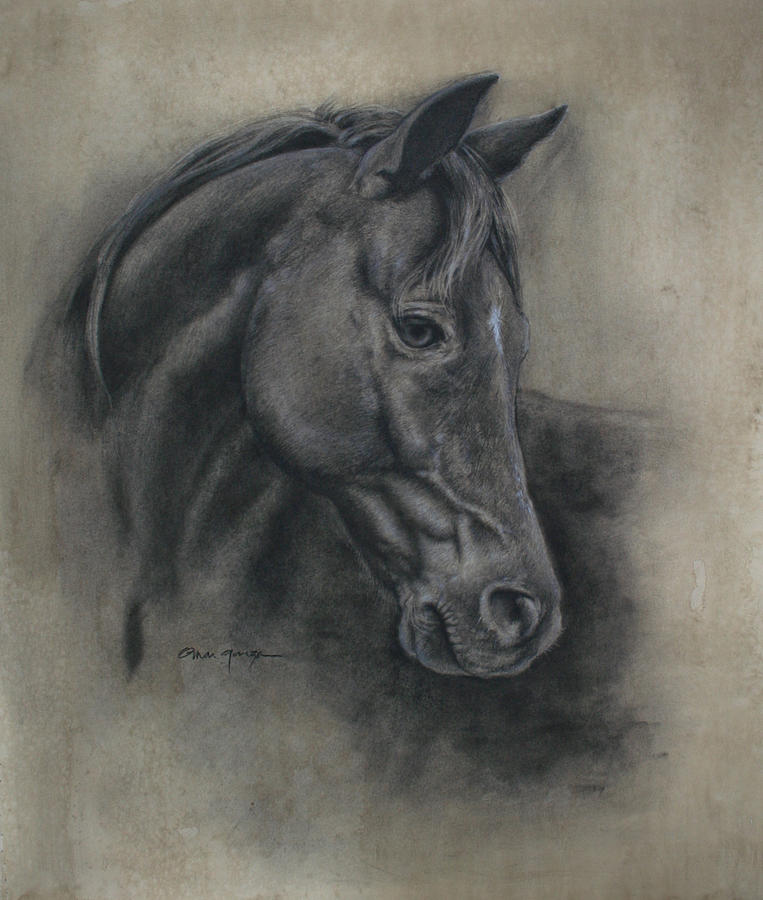 763x900 Horse Drawing Ii Drawing By Omar Garza