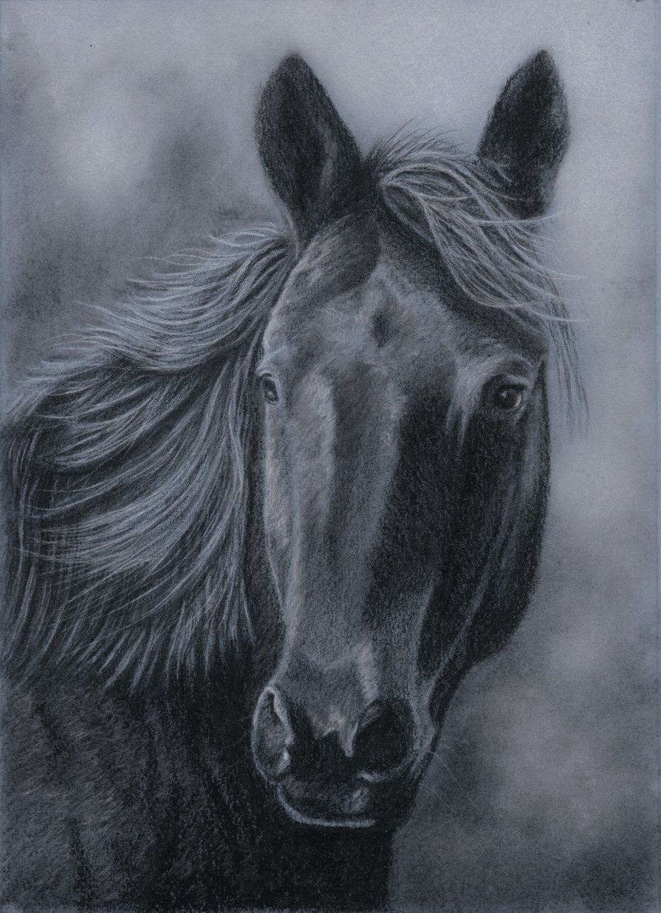 931x1285 In Charcoal By Rasberry6