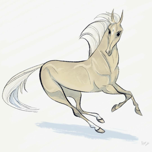 500x500 Daily Horse Drawings Tumblr