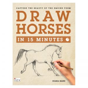 300x300 Horse Drawing Learn How To Draw Horses Diana Hand Equestrian Art