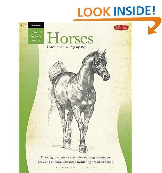 535x573 Horse Drawing