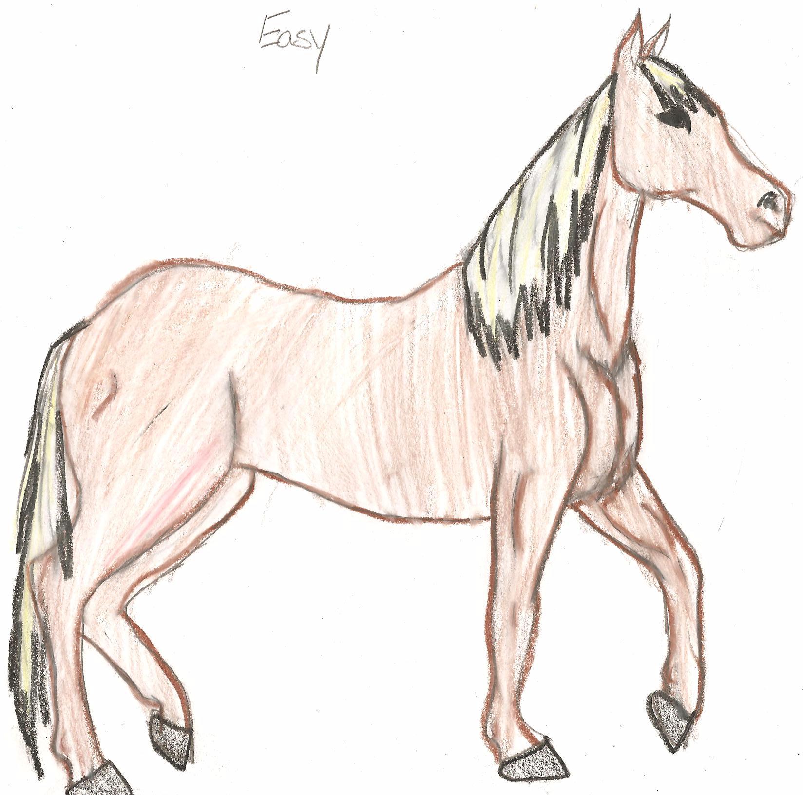 1648x1632 Easy The Horse By Cooki Monster