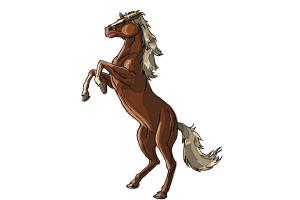 300x200 How To Draw A Horse Body