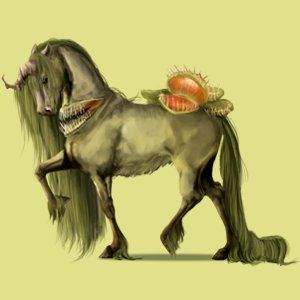 300x300 Fleischfressende Pflanze Skin Of Nature