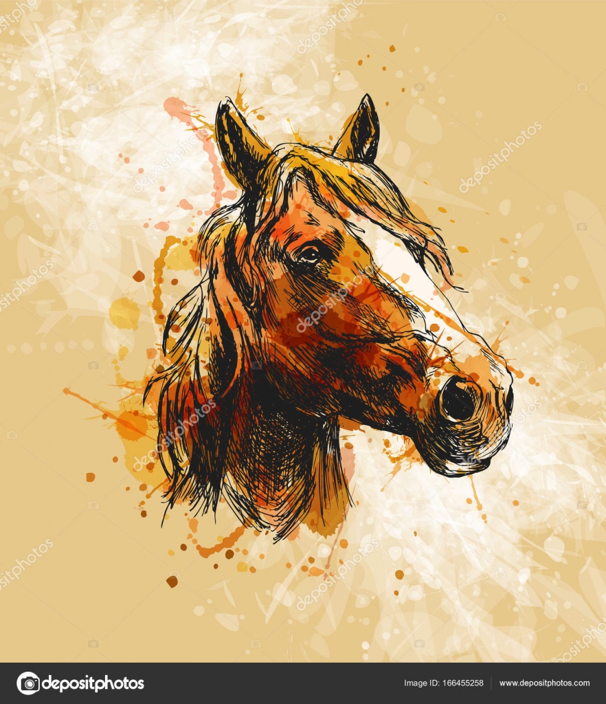 882x1024 Colored Hand Sketch Horse Head Stock Vector Onot