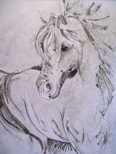 236x314 Horse Head, Art Work, Illustration, Pencil Drawing, Did You Hear
