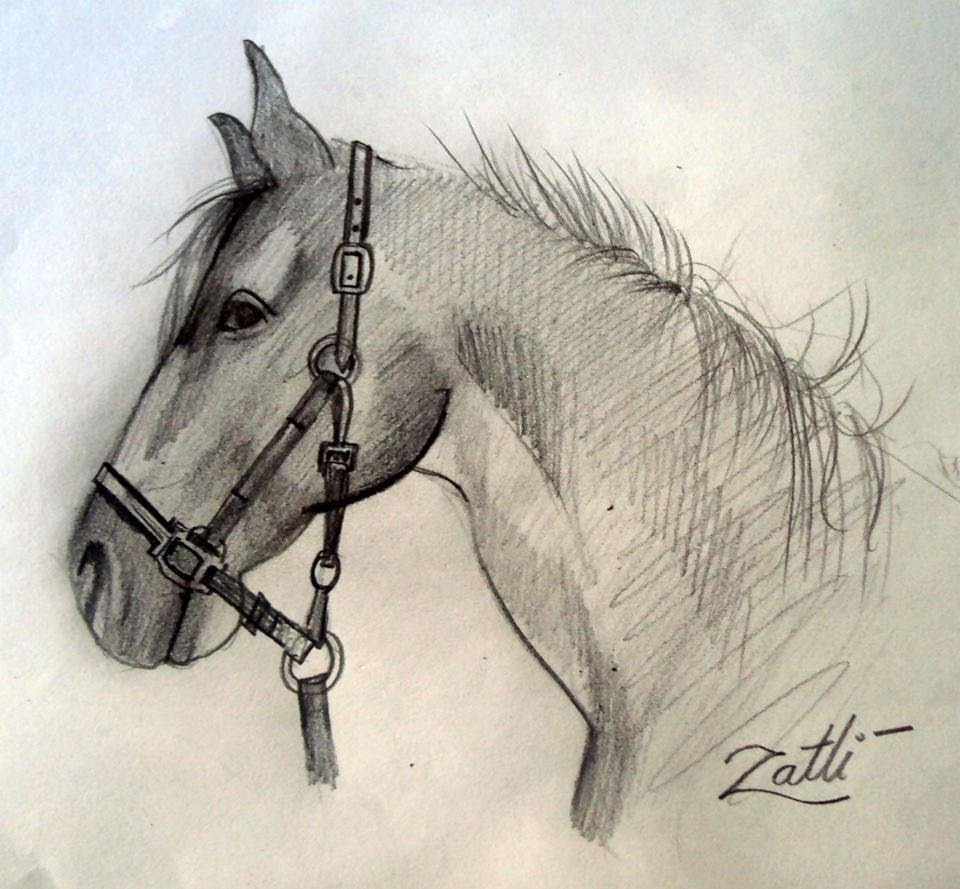 960x889 How To Draw A Horse Head