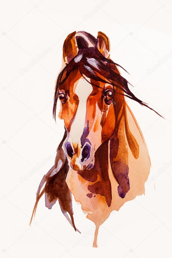 683x1023 Drawing Head Of The Horse Stock Photo Licccka