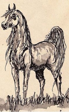 236x381 Horse Drawing Liked On Polyvore Things To Draw