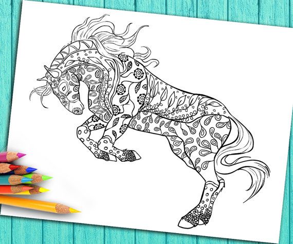 570x475 180 Best Drawing Images On Horse Drawings, Animal