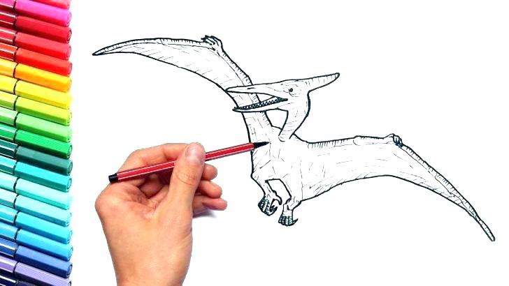 728x410 Drawing And Coloring Printable Of Coloring Pages To Download Now