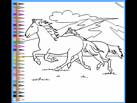 480x360 Wild Horse Coloring Pages For Kids