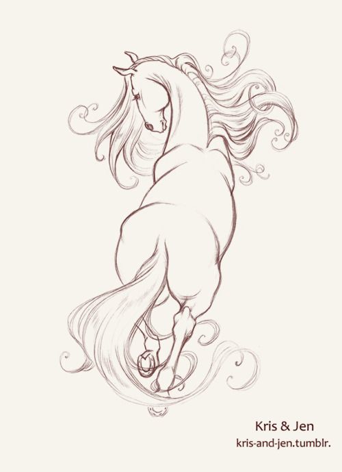 500x689 416 Best Horse Drawings Images On Horse Drawings