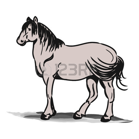 450x450 Arabian Horse, Horse (Arab, Head). Drawing By Hand. Royalty Free