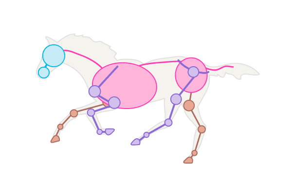 600x380 How To Draw Animals Horses, Their Anatomy And Poses