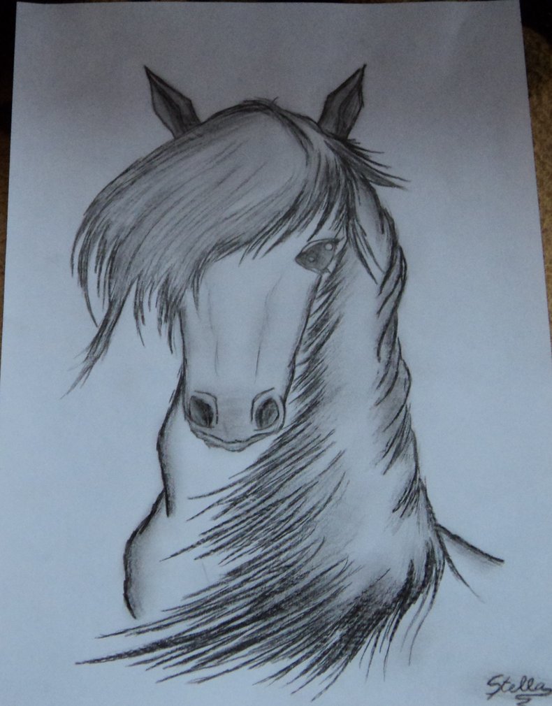 790x1010 My Horse Drawing By Winklegirl