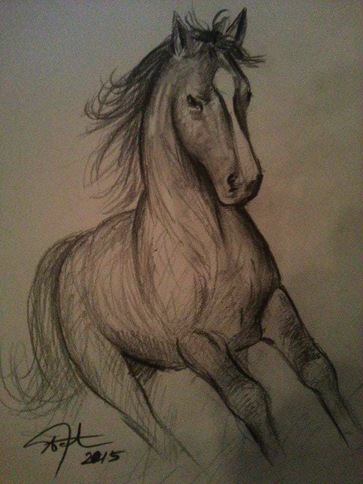 720x960 Wild Horse Drawing By Afrim1968