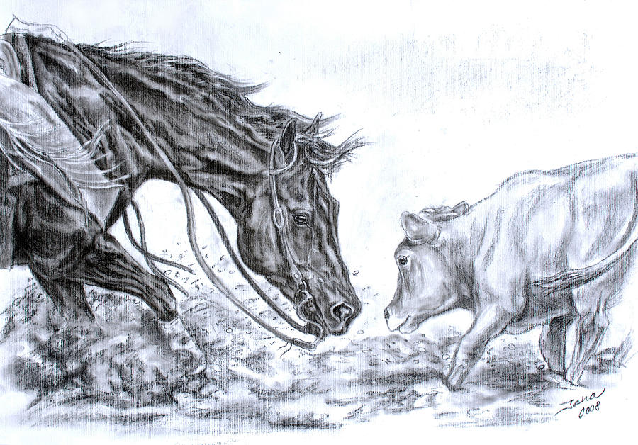 900x628 Horse Drawings Fine Art America
