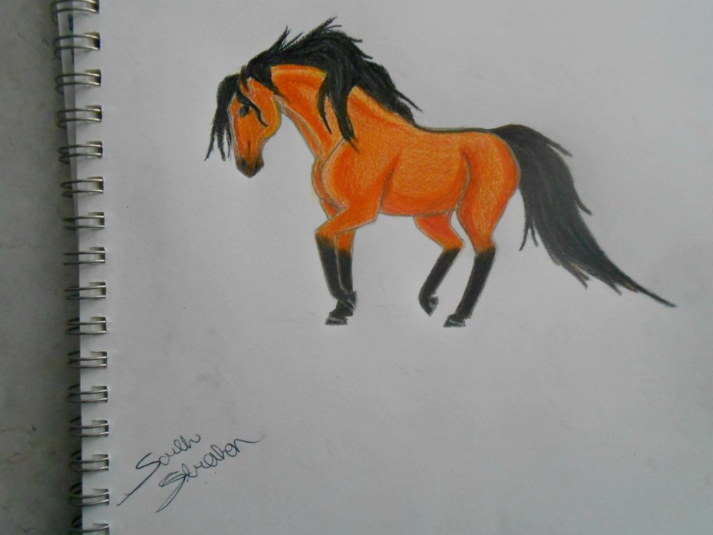 1024x768 Wild Buckskin Horse Drawing By In The Ssaddle