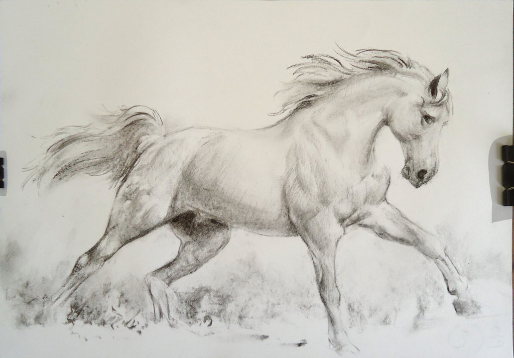 1024x713 Running Horse Charcoal By Loumizhu
