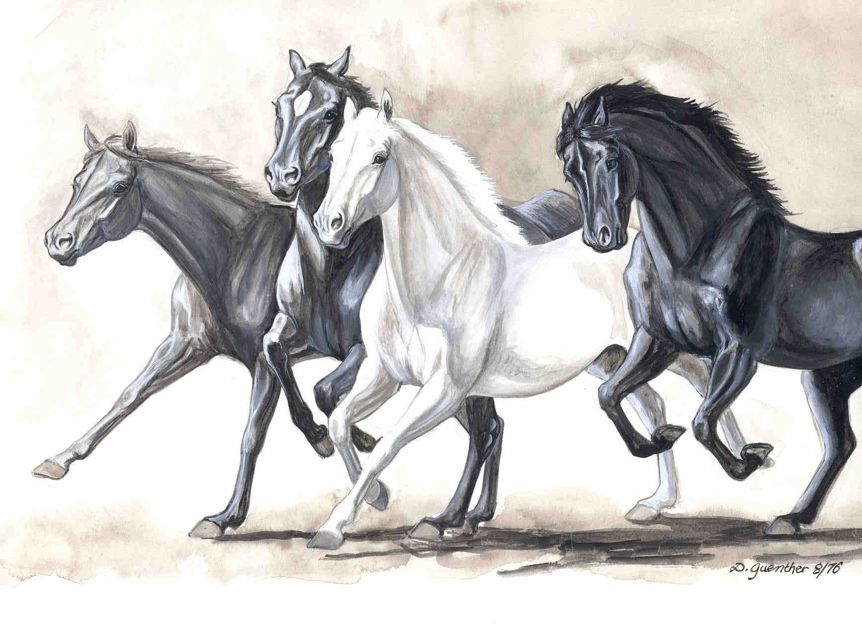 1736x1256 Running Horse Sketches