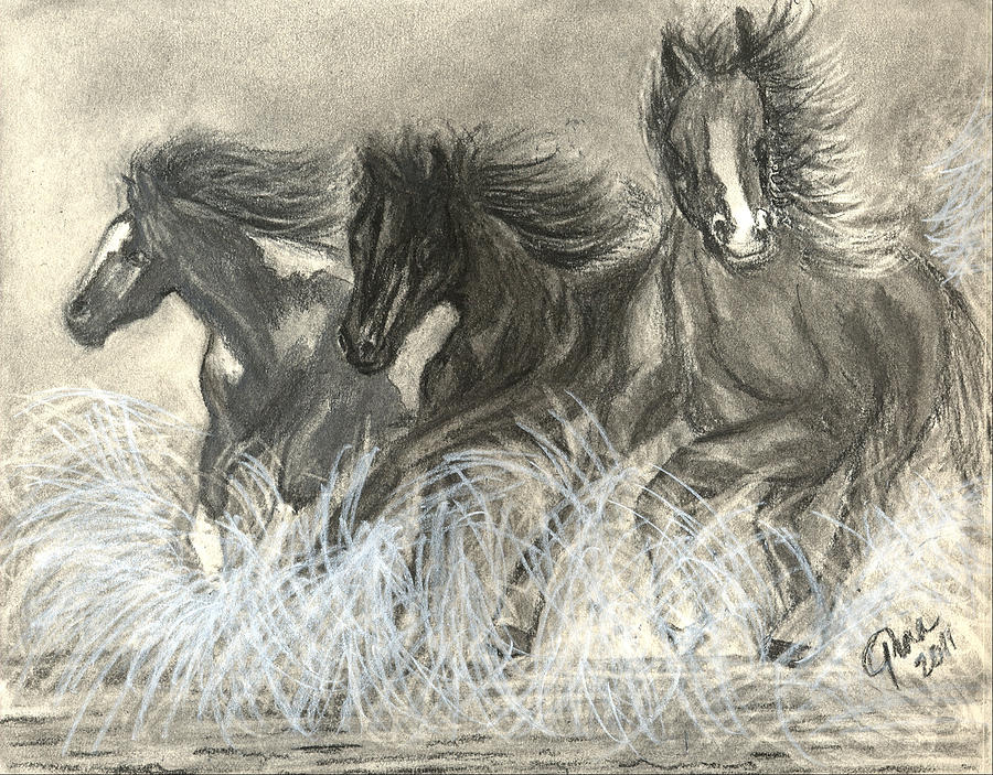 900x703 Wild Horses Run Drawing By Gina Cordova