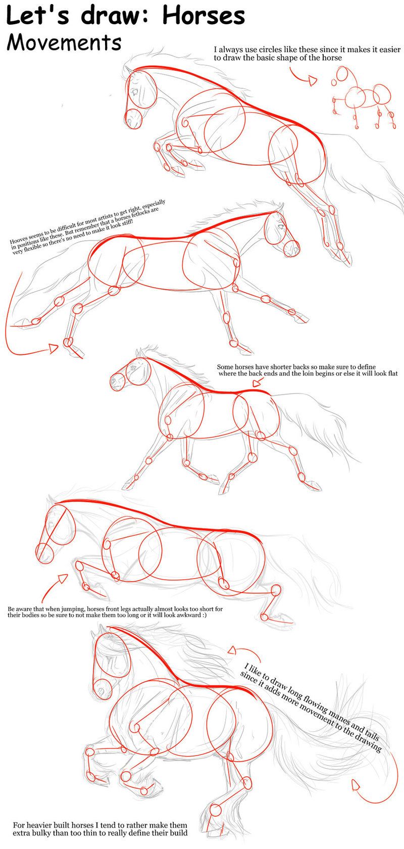 800x1680 Horse Movements