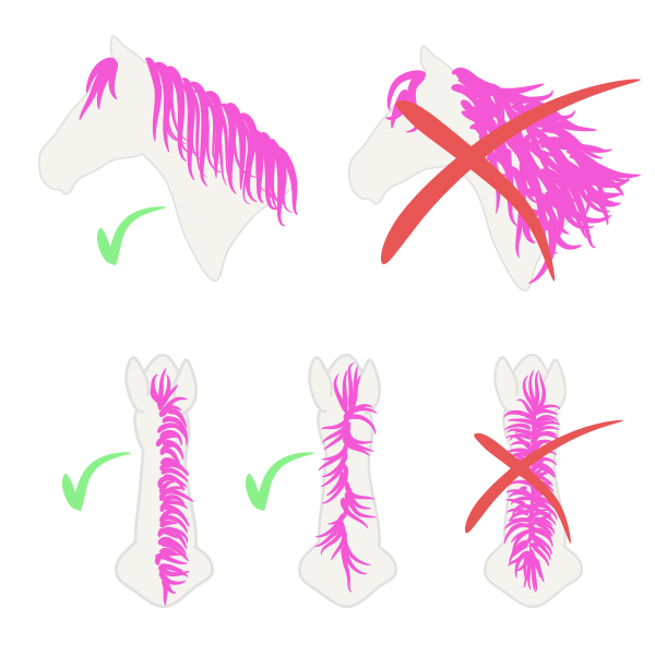 600x600 How To Draw Animals Horses, Their Anatomy And Poses