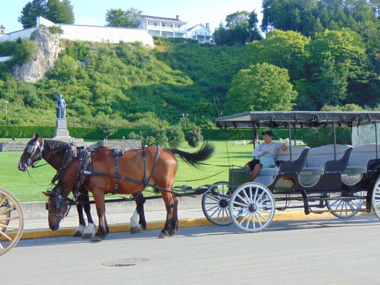 550x413 Wasn'T Lying, Horse Draw Carriage