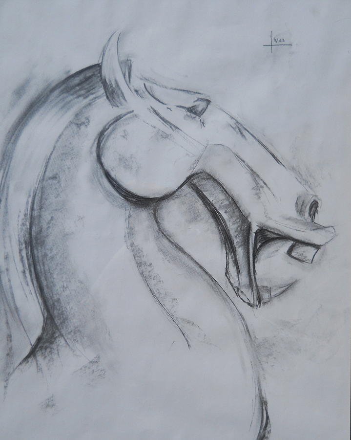 719x900 Horse Face Drawing By Victor Amor
