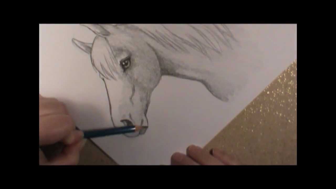 1280x720 How To Draw A Horse Head!