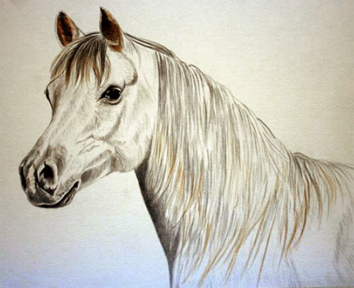 500x406 How To Paint Horses, Free Watercolour Tutorial