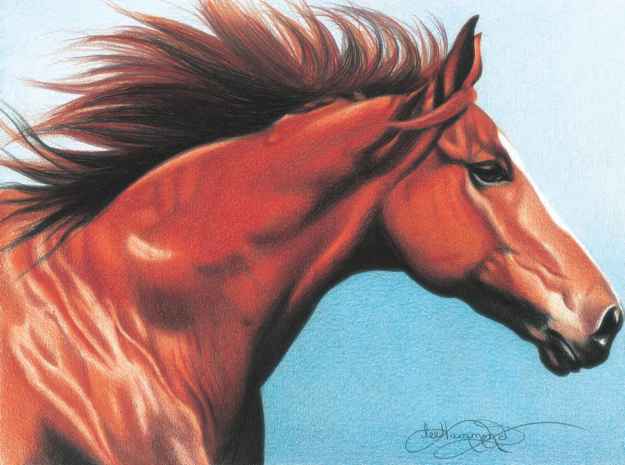 625x465 Layer The Undertone And Begin The Background