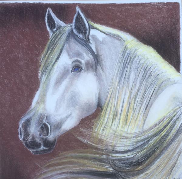 600x591 White Horse Face Drawing By Robert Ray