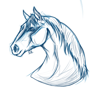320x303 Horse Drawings On Paigeeworld. Pictures Of Horse