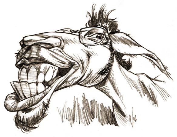 584x452 Horseface.jpg Caricatures Caricatures