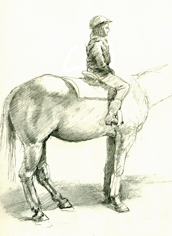 591x813 Drawing Horses Mark Koslow