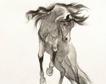 340x270 Horse Horse Drawing Horse Print Horse Pencil Drawing