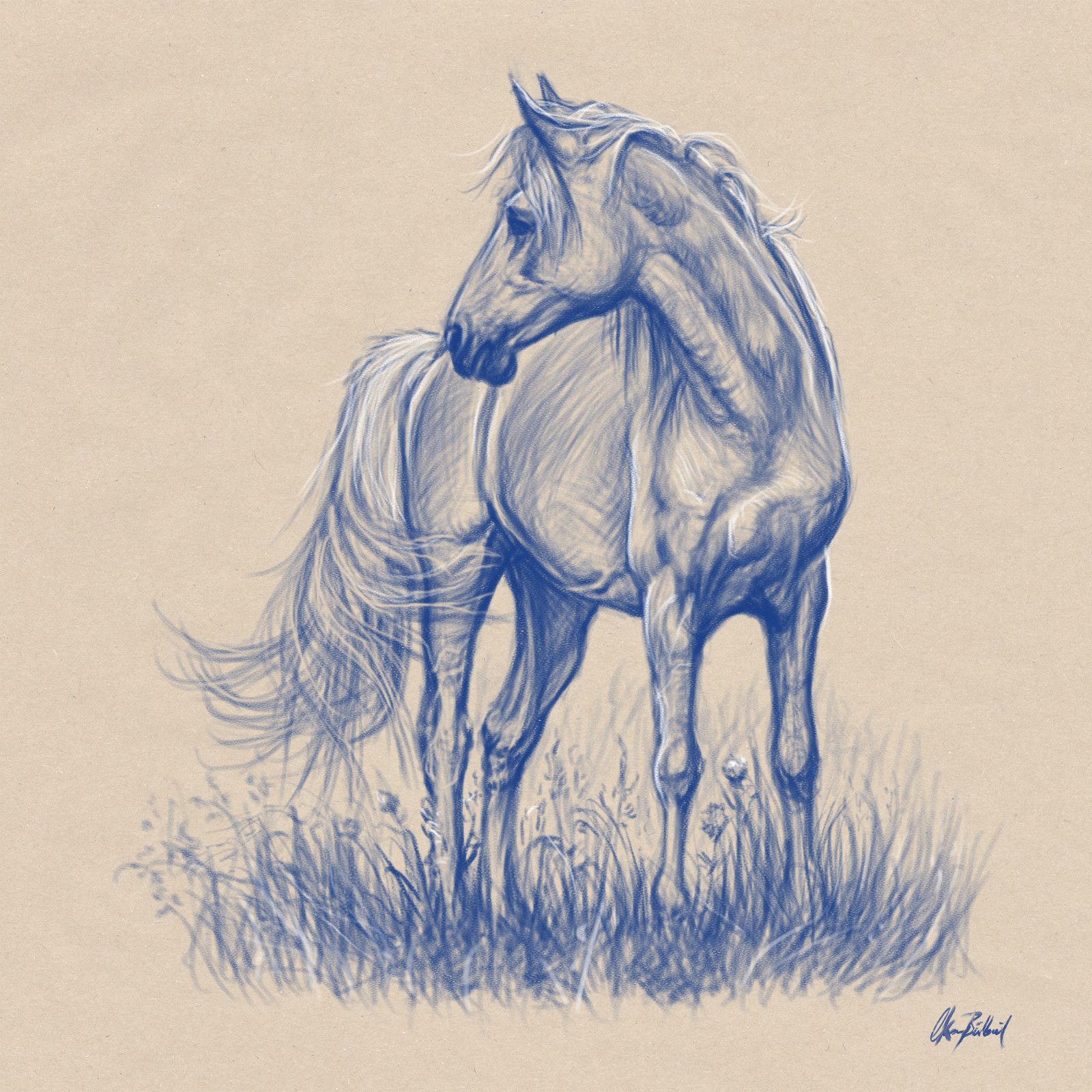 1600x1600 Horse Sketches, Okan On Artstation My Drawings