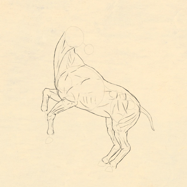 600x600 How To Draw Animals Horses, Their Anatomy And Poses