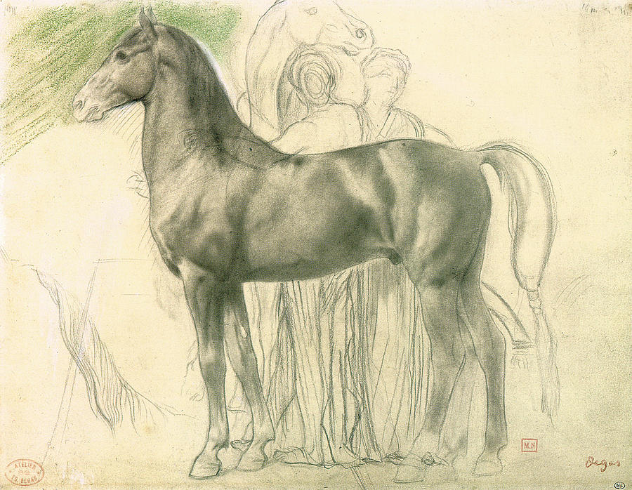 900x698 Study Of A Horse With Figures Drawing By Edgar Degas
