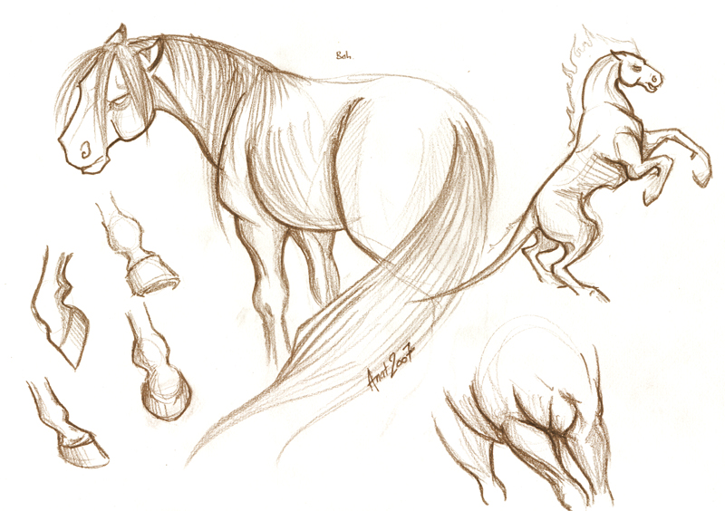 800x564 Evil Horse From Hell By Gaara666