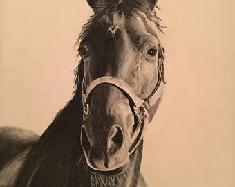 340x270 Horse Drawing Etsy