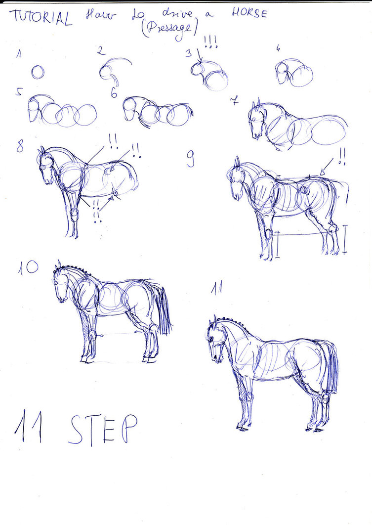753x1062 How To Draw A Dressage Horse By Arvoitusmeri