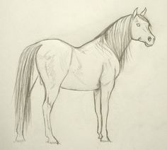236x212 Comic Book Video Tutorials How To Draw A Horse Galloping Great