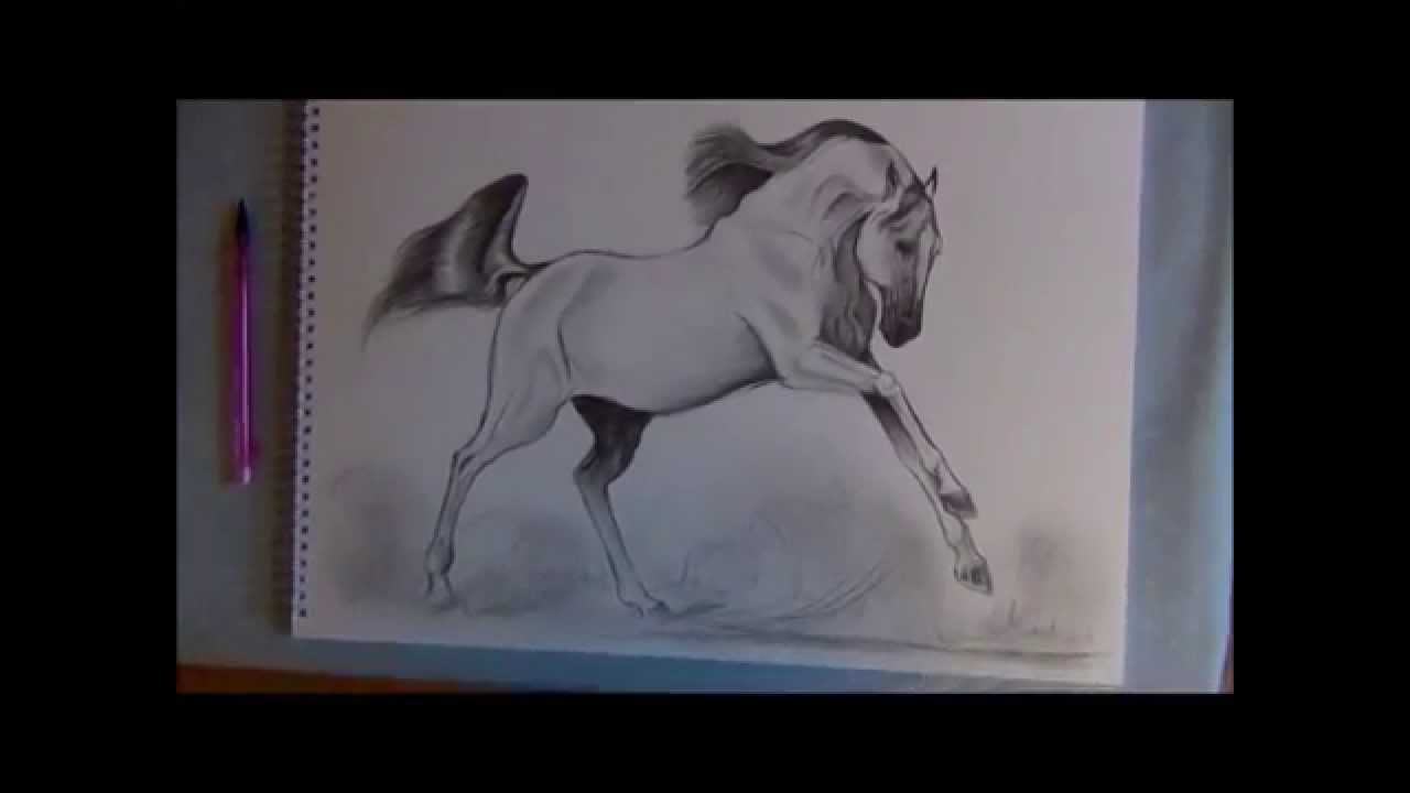 1280x720 How To Draw A Galloping Bay Horse (16th January 2012)