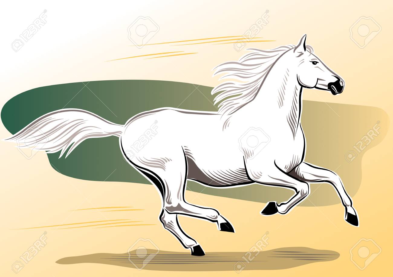 1300x917 White Horse Galloping Free In The Wind. Royalty Free Cliparts